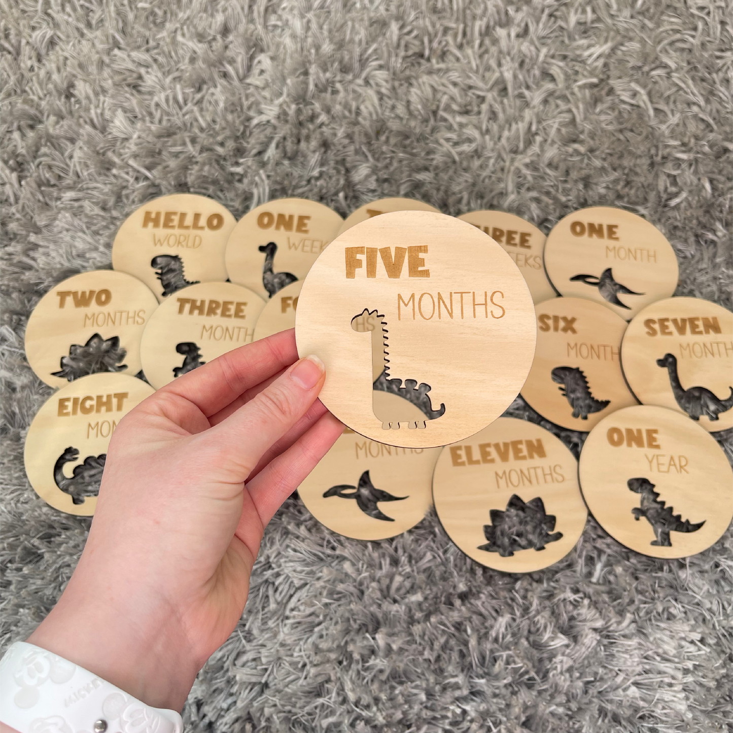 Dinosaur Baby Milestone Discs