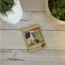 Load image into Gallery viewer, Pet Photo Magnet’s
