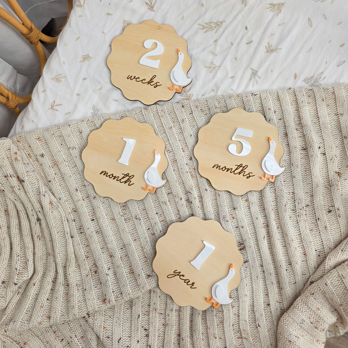 Wooden Goose Baby Milestone Disc Set