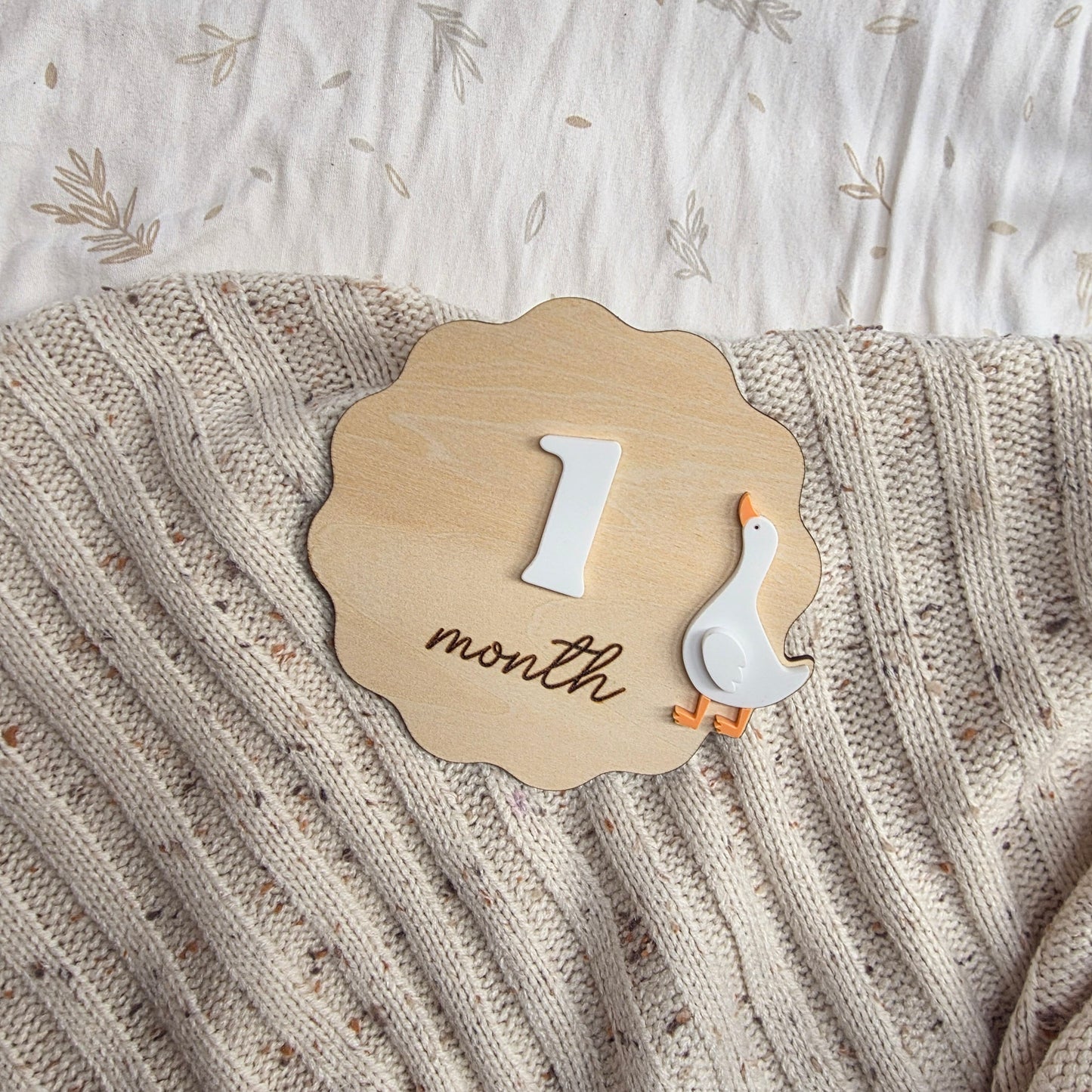 Wooden Goose Baby Milestone Disc Set