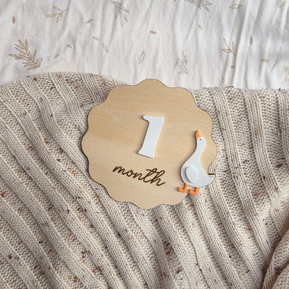 Wooden Goose Baby Milestone Disc Set