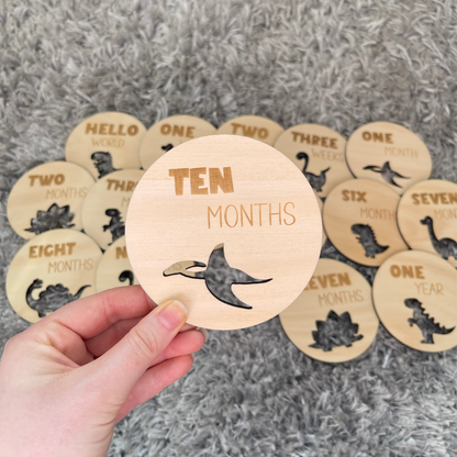 Dinosaur Baby Milestone Discs