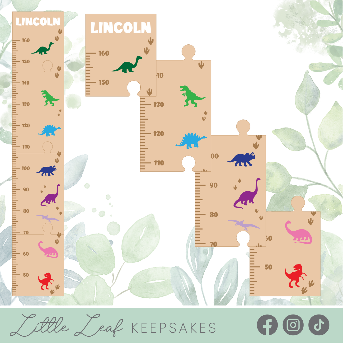 Acrylic Dinosaur Growth Chart