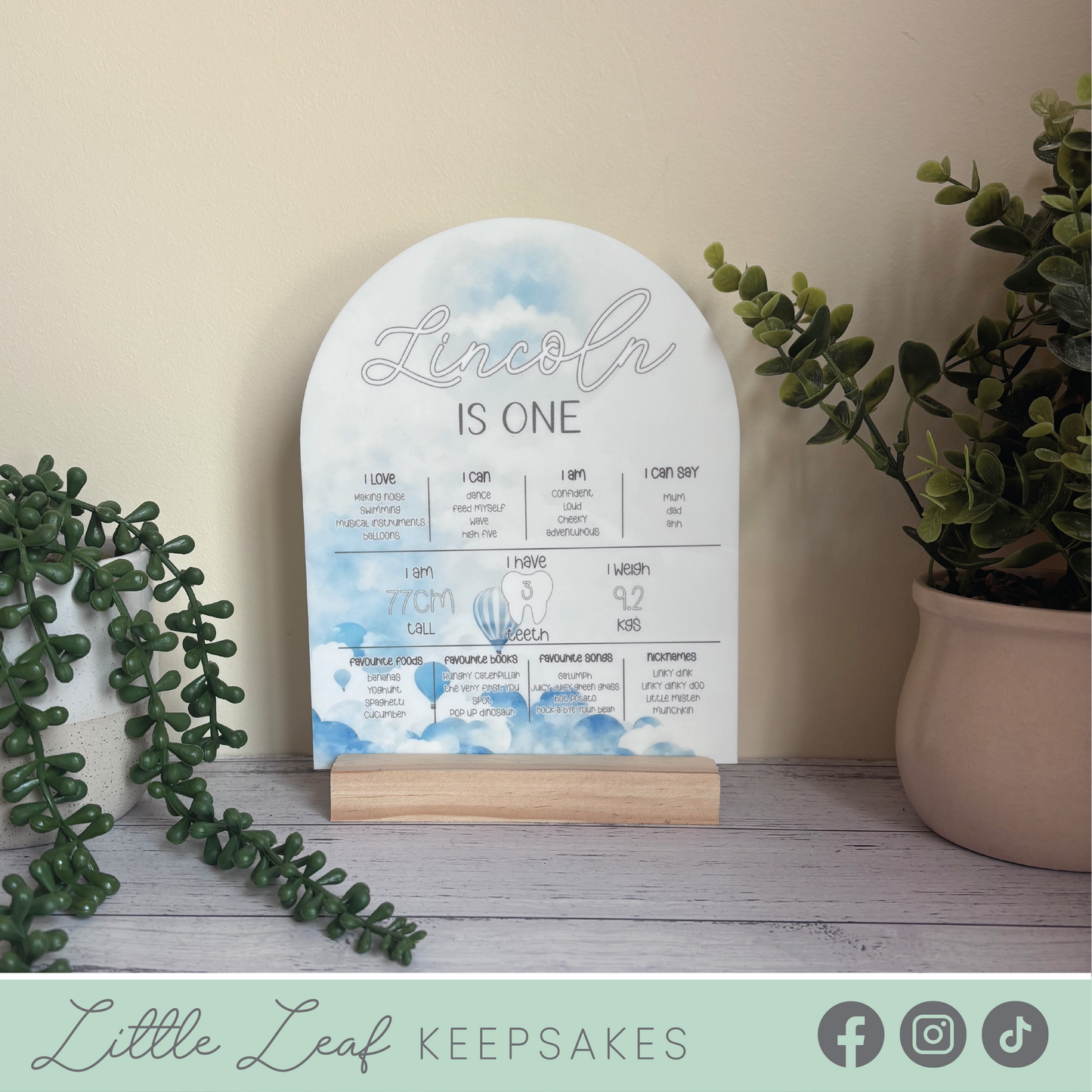 Hot Air Balloon 1st Birthday Milestone Board