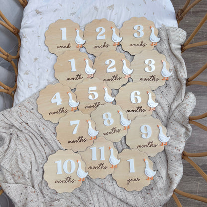 Wooden Goose Baby Milestone Disc Set