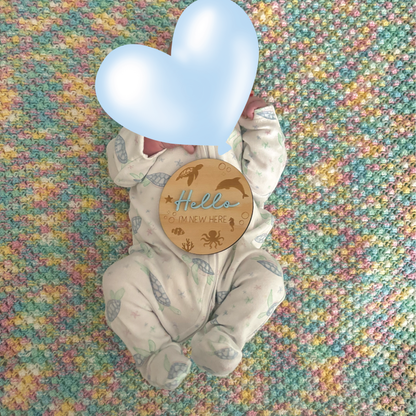 Under the Sea Wooden Baby Milestone Discs