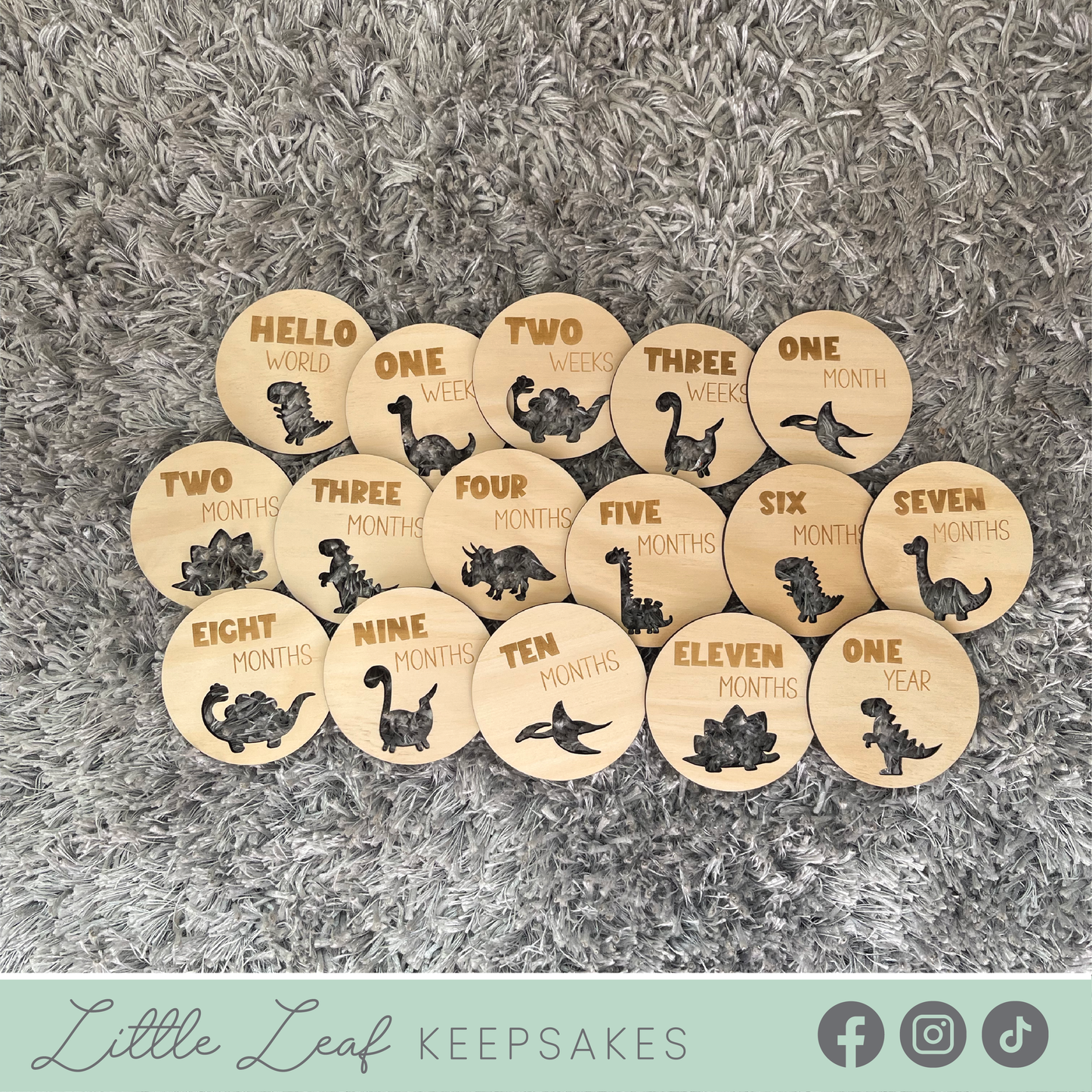 Dinosaur Baby Milestone Discs