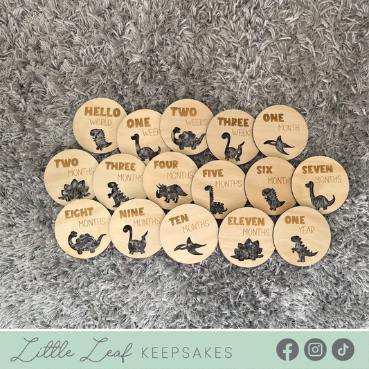 Dinosaur Baby Milestone Discs