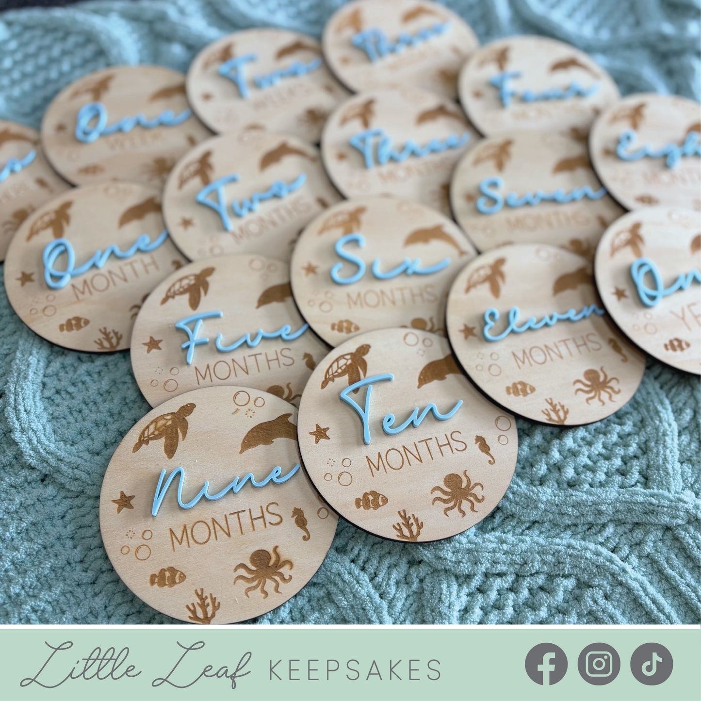 Under the Sea Wooden Baby Milestone Discs