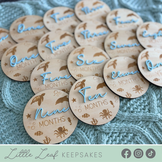 Under the Sea Wooden Baby Milestone Discs