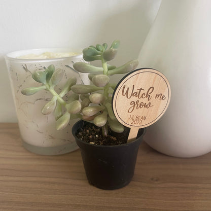 Custom Baby Shower 'Watch Me Grow' Plant Stakes