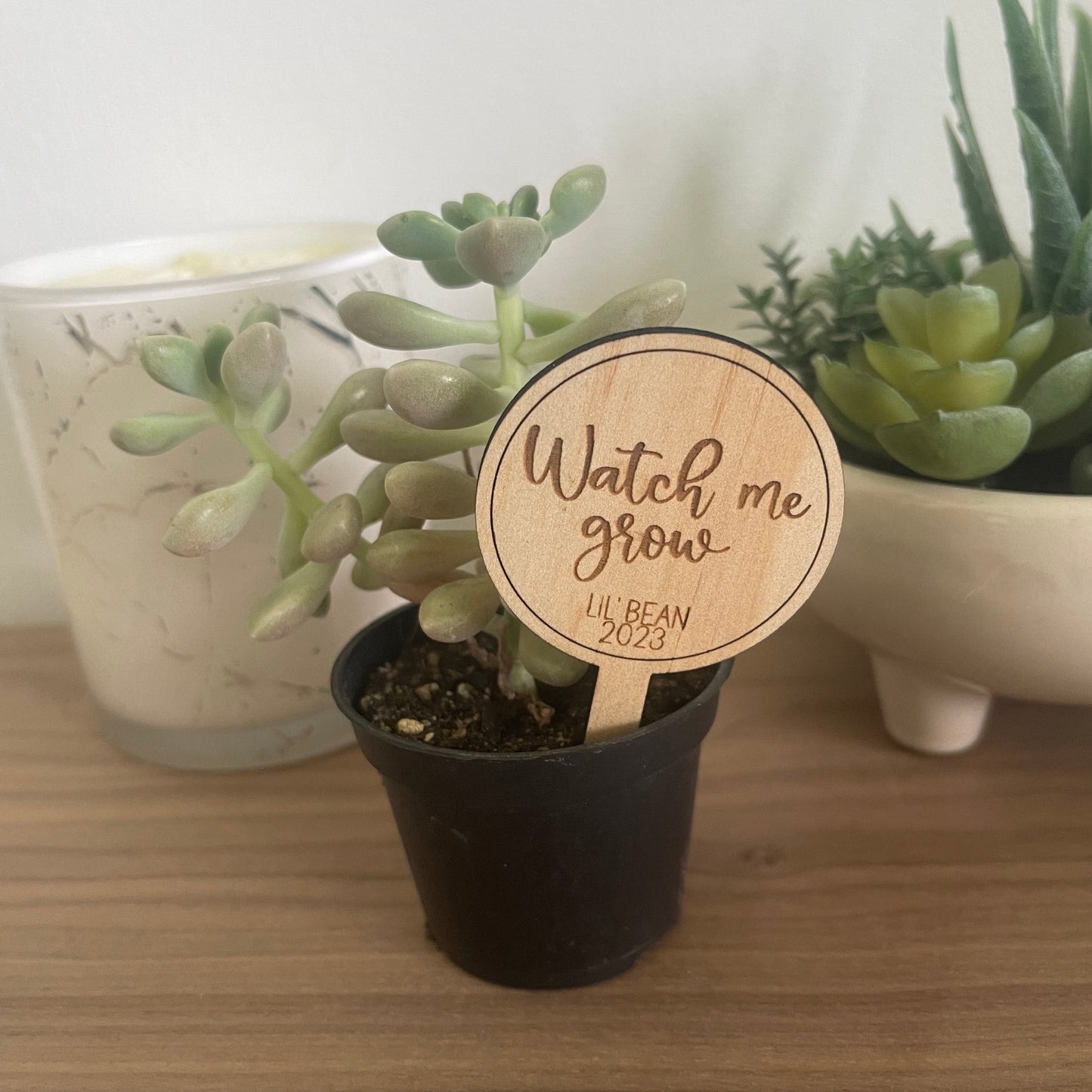 Custom Baby Shower 'Watch Me Grow' Plant Stakes