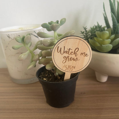 Custom Baby Shower 'Watch Me Grow' Plant Stakes